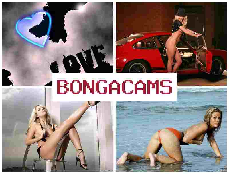 ONGACAMS 🎇 Free Sex VIP