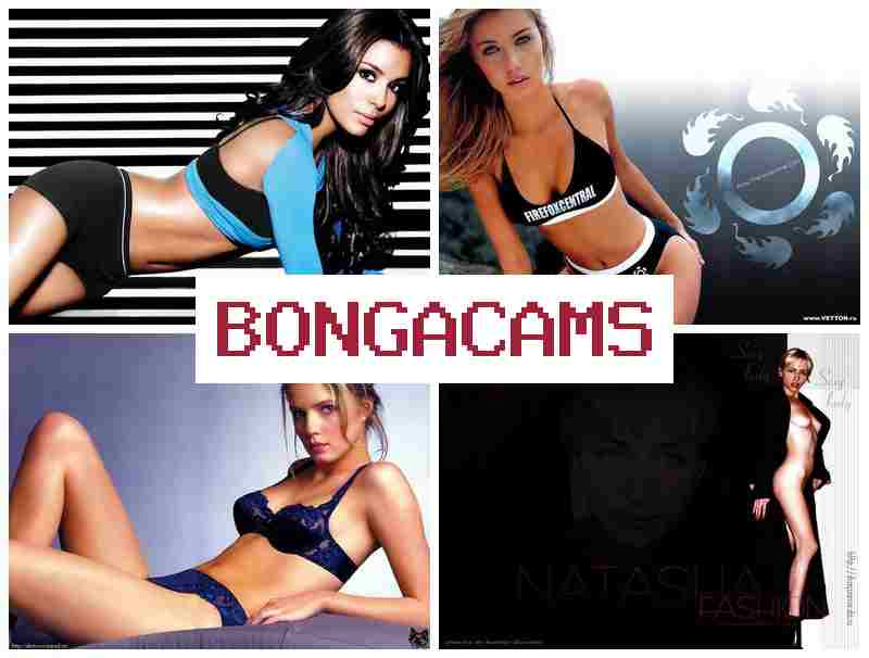 BINGA CAMS 👍 Download Egyptian Sex VK