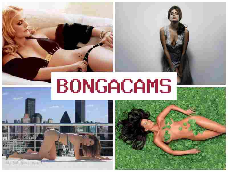 BPNGA CAMS 🔞 Best Porn Sex Tubes