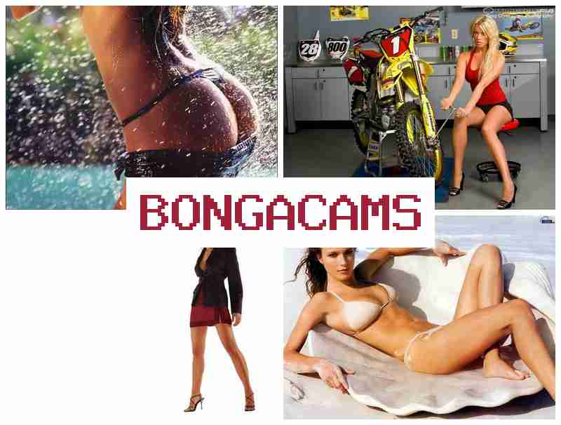 BOHGA CAMS 💝 Big Sex XXX