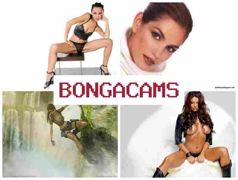 BONGA CWMS 🌟 Femdom Sex Porn