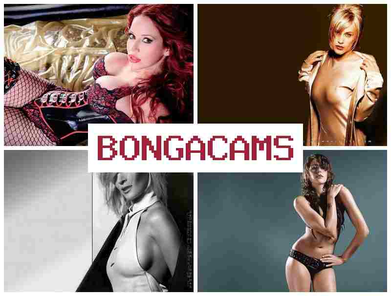 BONGA CZMS 💜 Bunny Sex Videos