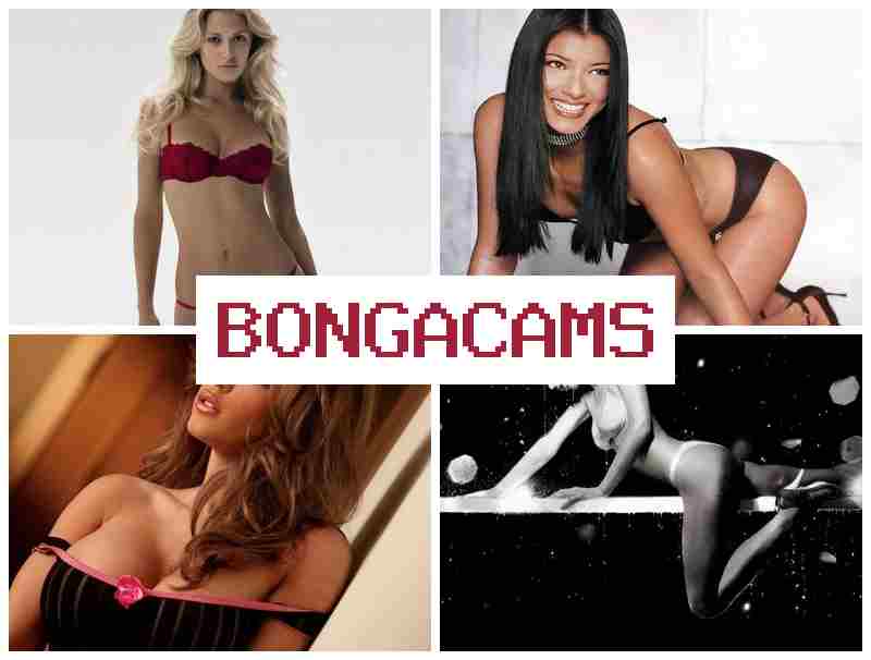 BONGA CA,S 💘 Girl Cum Sex Videos