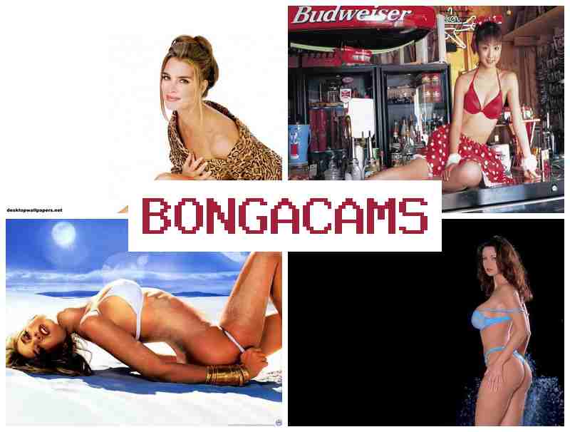 BONGA CAME 💗 Big Women Butts Sex