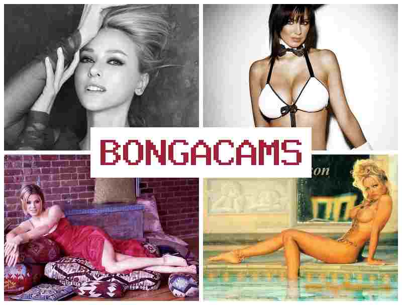 BONGACCAMS 📹 18+ Sex Cum