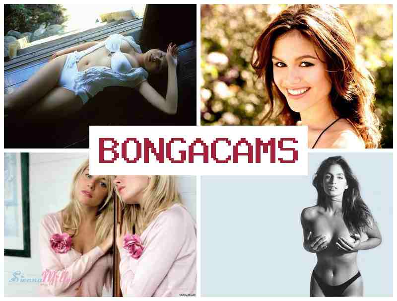 BNOGACAMS ⭕ Brunette Big Tits Sex Porno