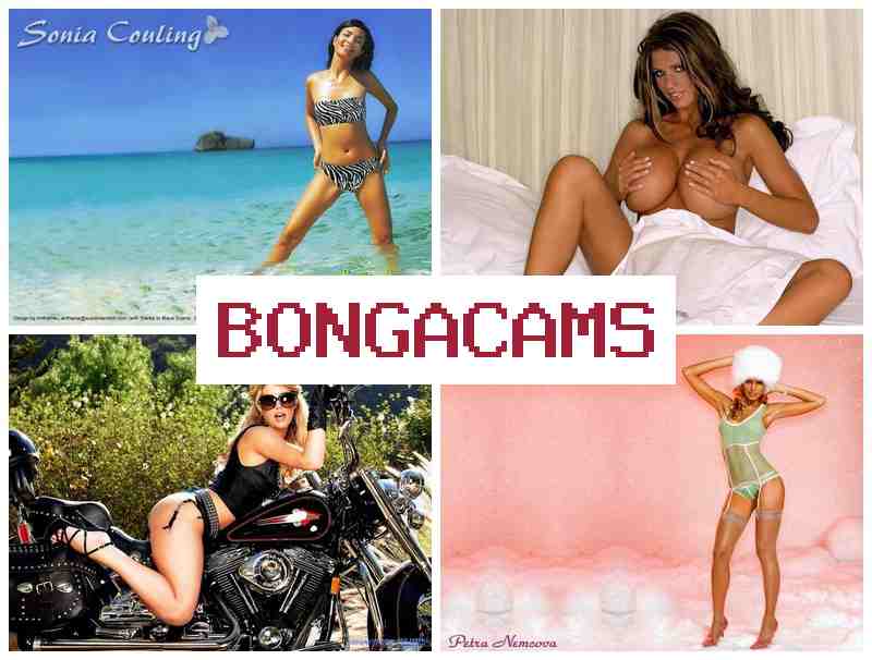 BONGCAAMS ☑️ College Sex Anal