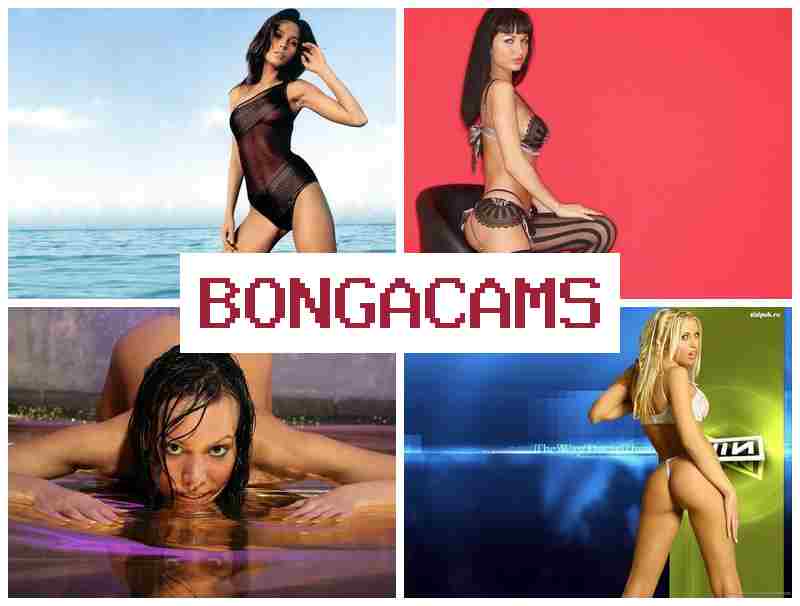 HONGACAMS 💑 Girl Sex Car
