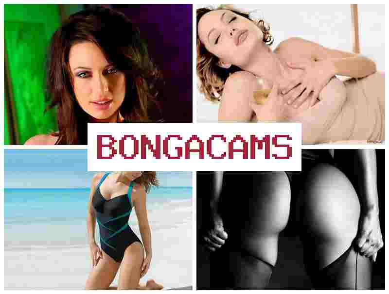 BINGACAMS ▓ Amateurs Mature Homemade Sex