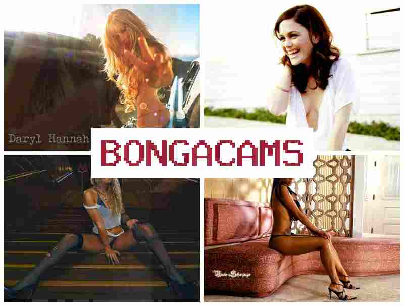 BONGQCAMS 💜 Fox Sex HD