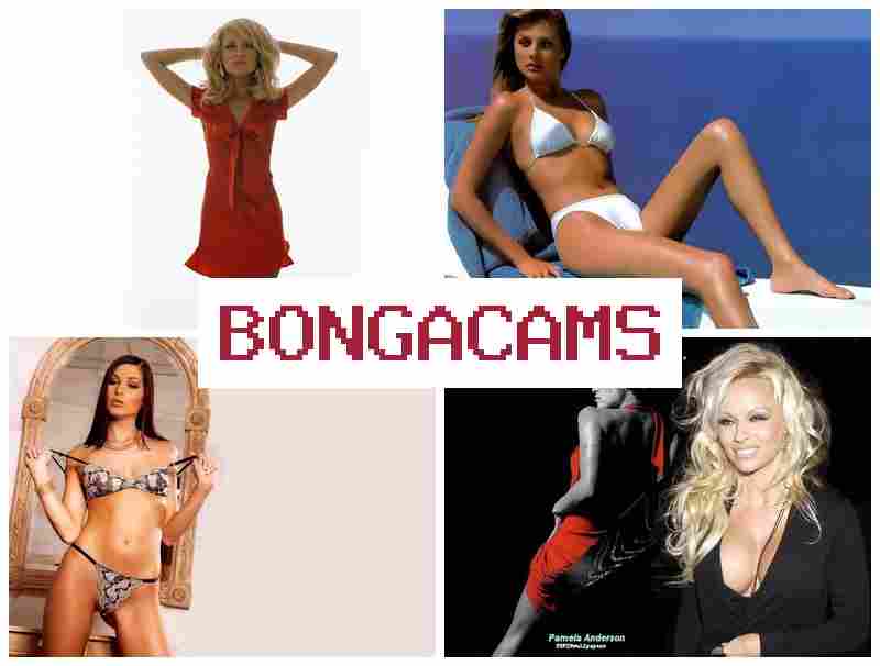 BONGACAJS ⭕ 01 Porno Sex