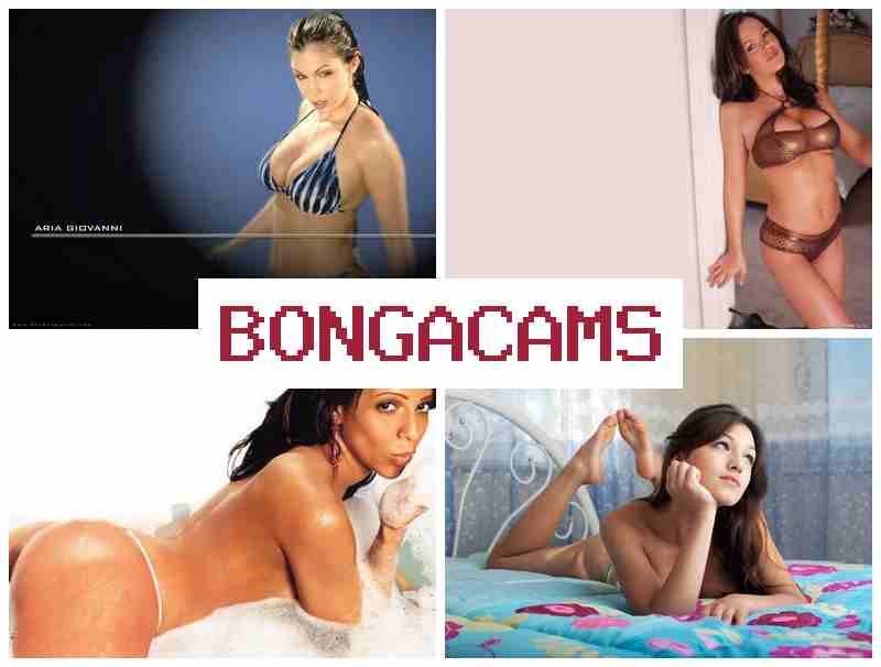 BONGA CCAMS 💕 Cam Sex Big