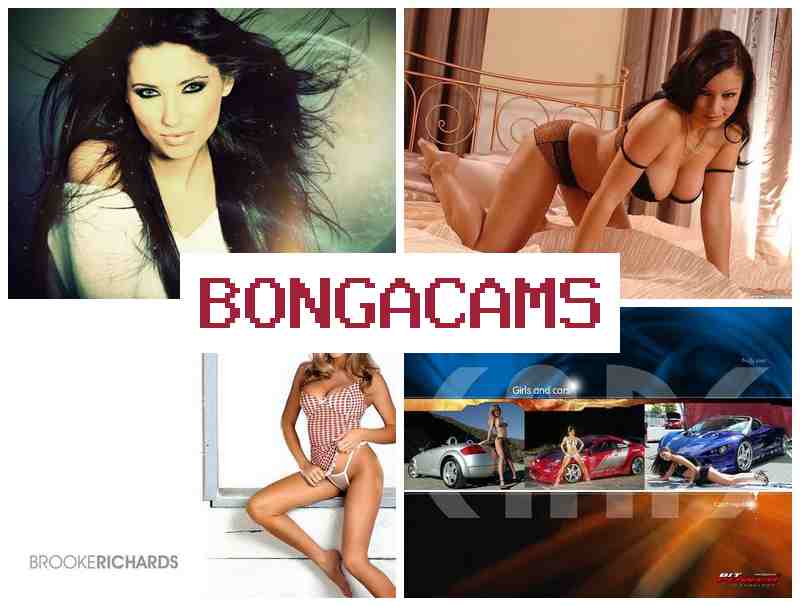 BONGA CAAMS 💚 Fnaf 18+ Sex