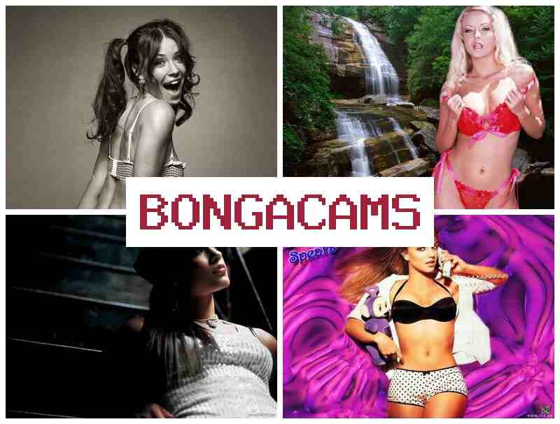 BBONGACAMS 😍 HD Threesome Anal Sex