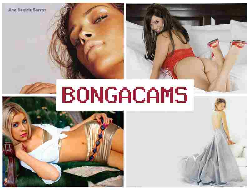 VONGA CAMS 💚 Fighting Sex XXX